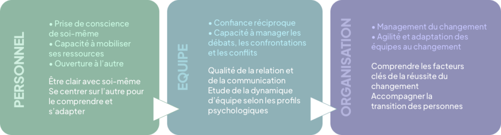 Schéma équipe-organisation - formation soft skills entreprise – formation gestion des conflits et communication positive – Audrey Martin Coaching