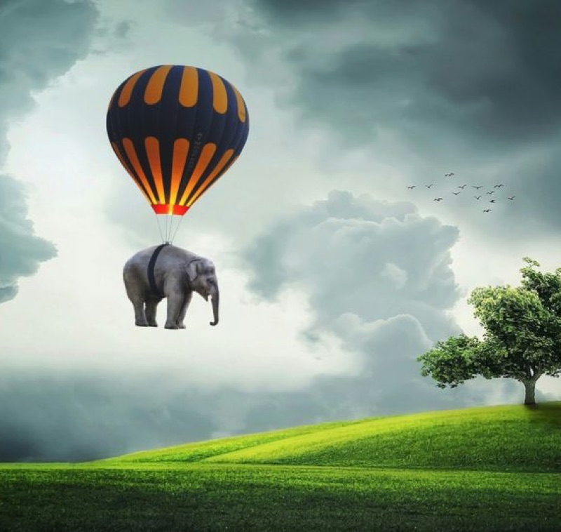 Éléphant en montgolfière - coaching professionnel Landes – coaching intelligence émotionnelle – Audrey Martin Coaching