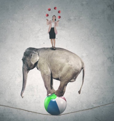 Iillustration d'une femme qui jongle en équilibre sur le dos d'un éléphant lui-même sur un ballon, pour représenter la vie d'un entrepreneur qui n'a pas encore suivi de formation en gestion du temps, gestion du stress et performance commerciale. coaching gestion du stress – Audrey Martin Coaching – accompagnement individuel ou collectif
