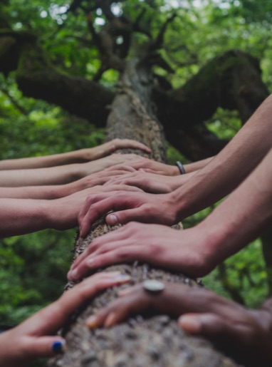 Mains superposées sur un tronc d'arbres signe de cohésion d'équipe en Aquitaine - formation confiance en soi – coaching individuel – Audrey Martin Coaching