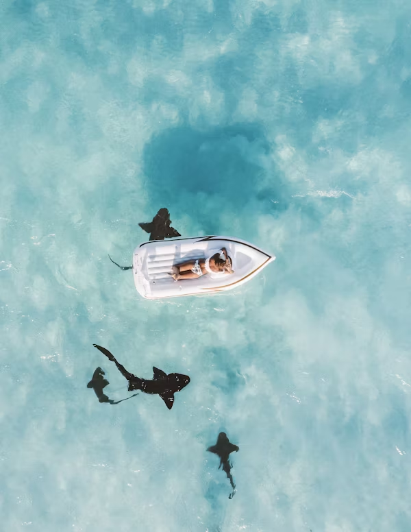 Image d'une femme sur un matelas gonflable qui flotte sur une eau translucide, entourée de 4 requins, sans se soucier de leur présence, pour illustrer les bienfaits d'une estime de soi haute et stable. coaching développement personnel – Audrey Martin Coaching – accompagnement individuel ou collectif
